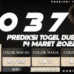 PREDIKSI TOGEL DUBLIN POOLS 14 MARET 2022